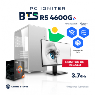 PC Igniter BTS - Ryzen 5 4600G + MONITOR GAMER MSI 21.5"